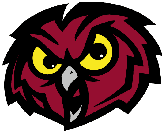 Temple Owls 1996-Pres Alternate Logo diy fabric transfers